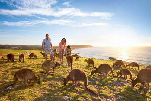 360°VR全景视频 袋鼠岛，南澳大利亚